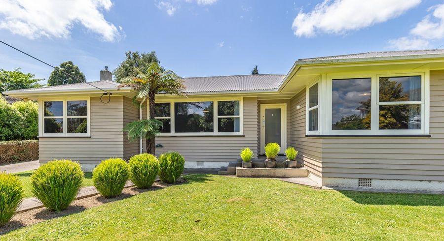  at 17 Hobson Street, Levin, Levin