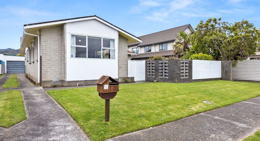 at 61 Orr Crescent, Hutt Central, Lower Hutt