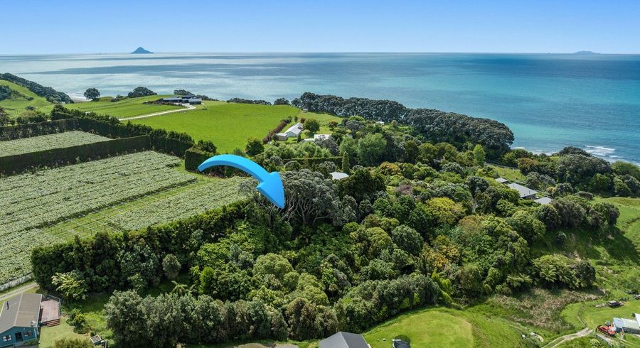  at 8A Thompson Road, Opotiki