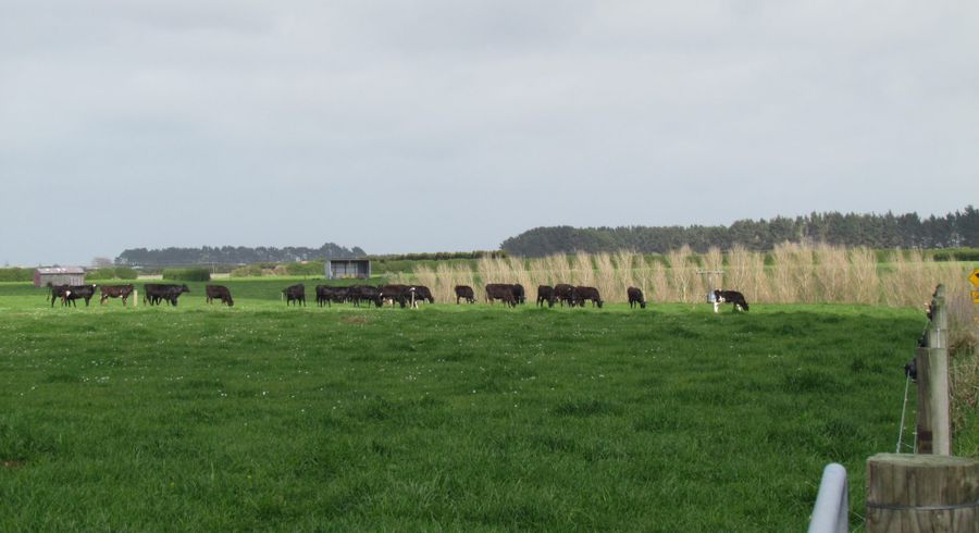 at 221 Mangapoua Road, Hawera