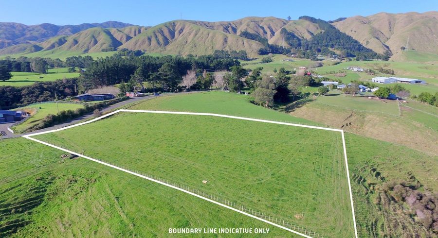  at 158 Albert Road, Tokomaru, Palmerston North