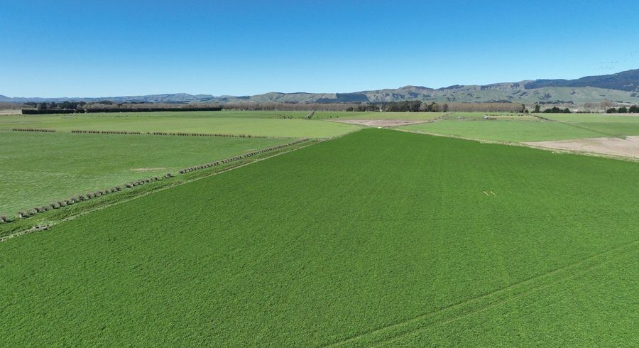  at 1556 Kahutara Road, Martinborough, South Wairarapa, Wellington