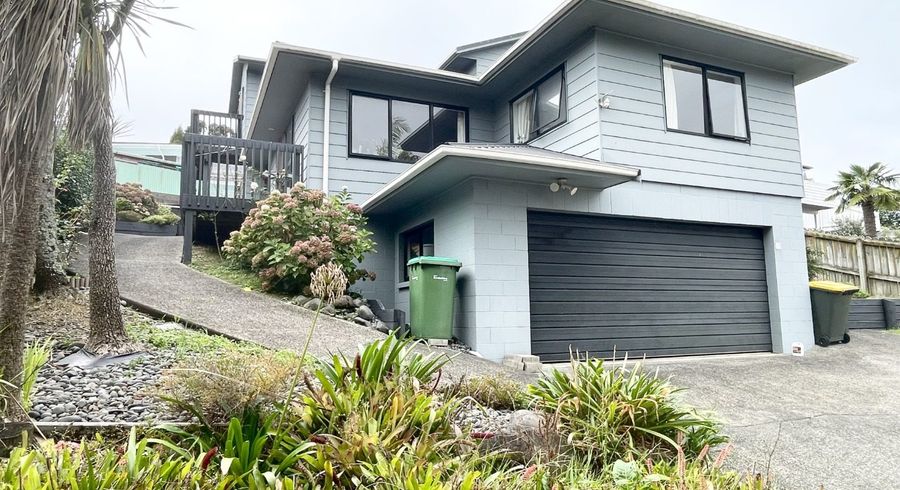  at 17  Blethyn Pl, Te Atatu South, Waitakere City, Auckland