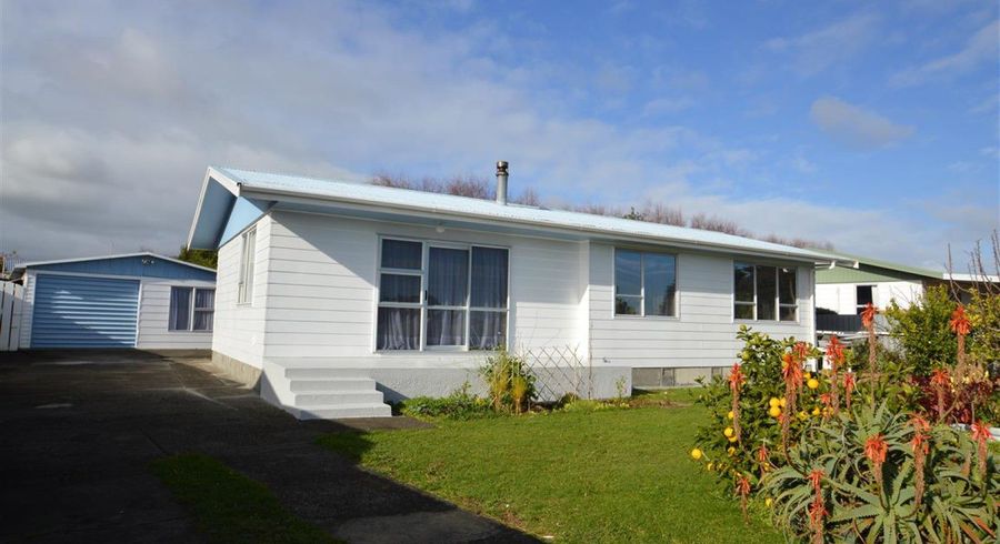  at 25 Adkin Avenue, Levin, Levin