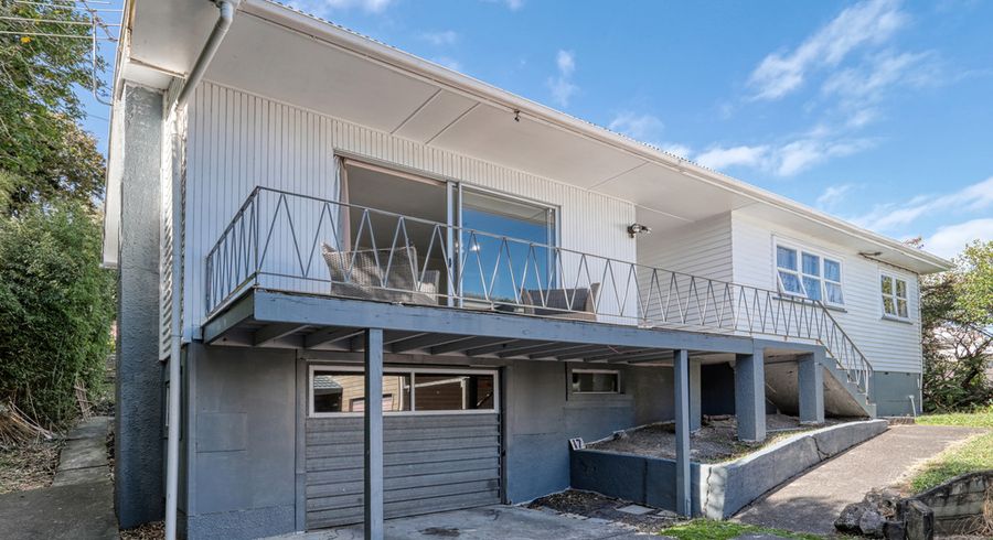  at 17 Robson Street, Mount Roskill, Auckland