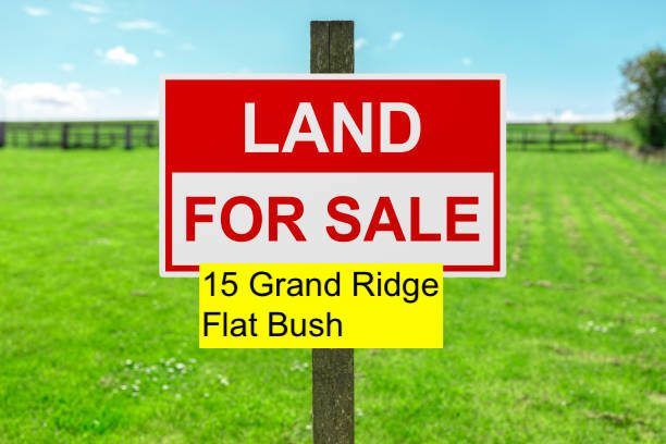  at 15 Grand Ridge Avenue, Flat Bush, Manukau City, Auckland