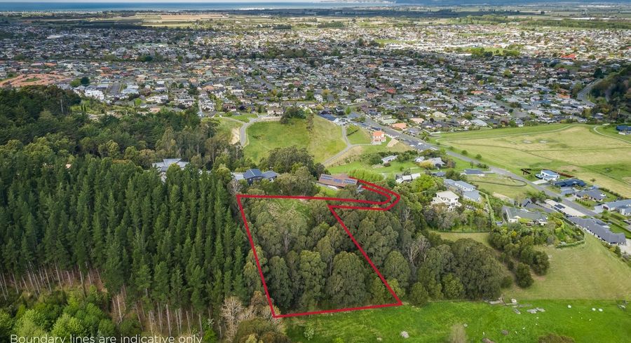  at 19 Ridgeway Terrace, Taradale, Napier
