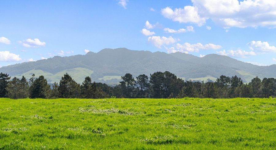  at 14A Darby Road, Arapuni, South Waikato, Waikato