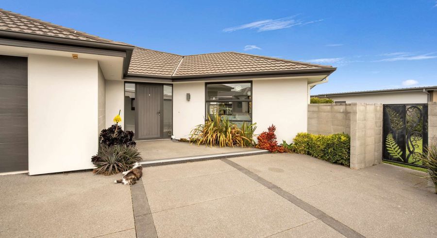  at 29 Araucana Way, Burwood, Christchurch City, Canterbury