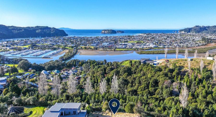  at 113 Te Pamahue Drive, Whangamata, Thames-Coromandel, Waikato