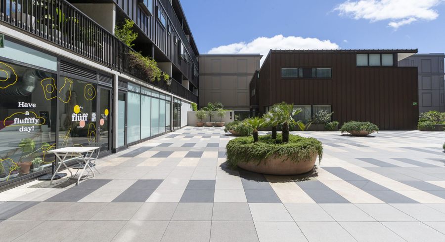  at 215/38 Khyber Pass Rd, Grafton, Auckland City, Auckland
