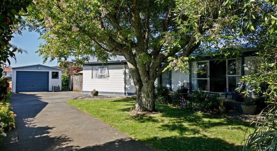  at 309 Stout Street, Riverdale, Gisborne