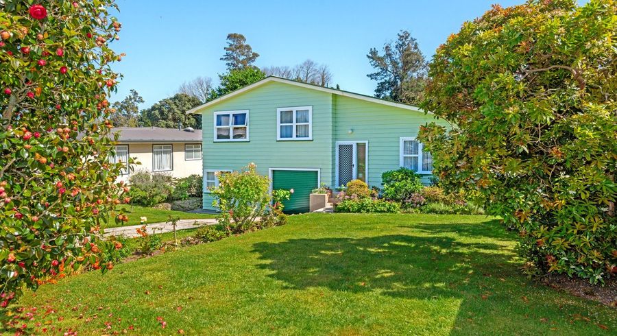  at 30 Marian Drive, Inner Kaiti, Gisborne, Gisborne