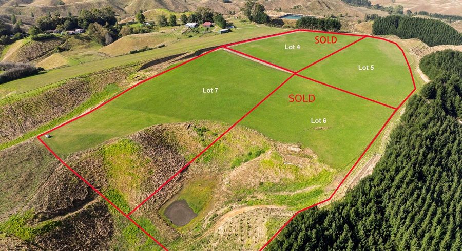  at Airstrip Road, Pikowai, Whakatane, Bay Of Plenty