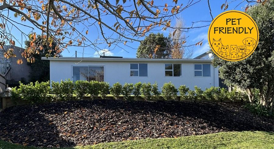  at 163B Pembroke Street, Westown, New Plymouth, Taranaki