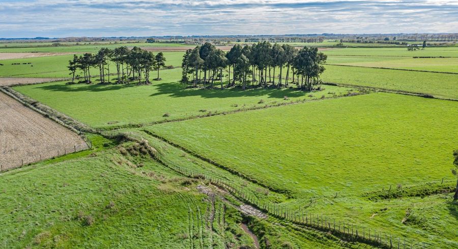  at 0 Paiaka Road, Koputaroa, Shannon