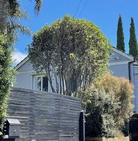  at 19 Paihia Road, Onehunga, Auckland City, Auckland