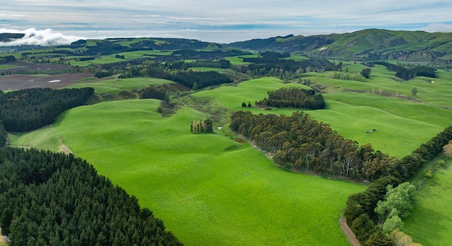  at 1241 Blythe Road, Cheviot, Hurunui, Canterbury