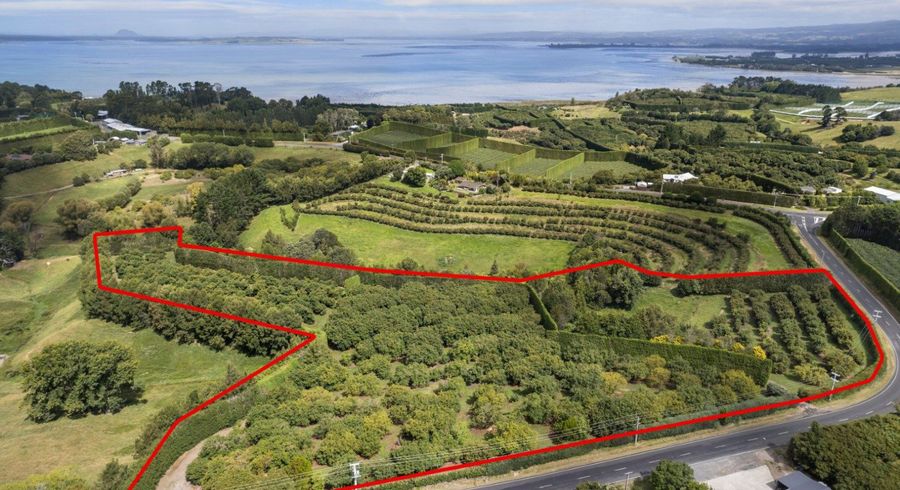  at 22 Ongare Point Road, Katikati, Western Bay Of Plenty, Bay Of Plenty