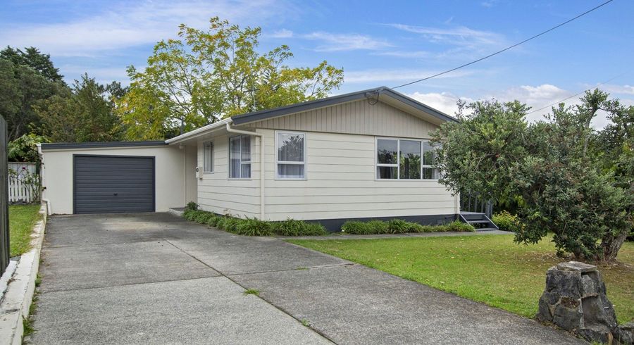  at 20 Raewyn Street, Morningside, Whangarei