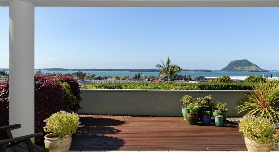  at 8B Hinewa Road, Otumoetai, Tauranga, Bay Of Plenty