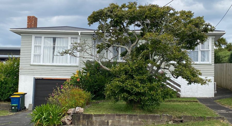  at 19 Blease Street, New Lynn, Auckland