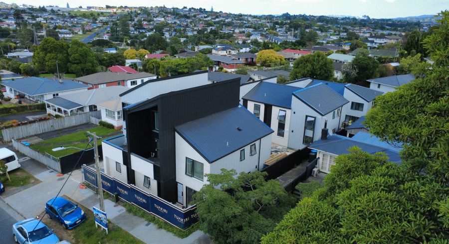  at 253 New Windsor Road, New Windsor, Auckland City, Auckland