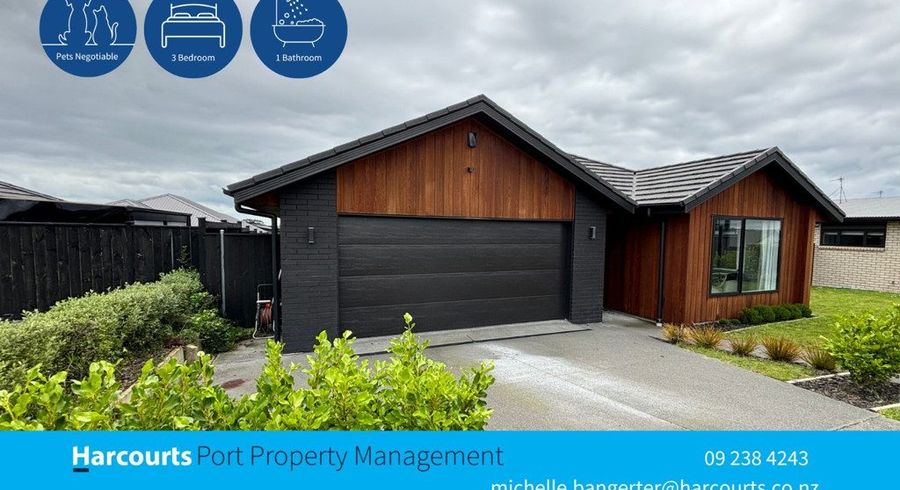  at 11 Tabernacle Street, Karaka, Papakura