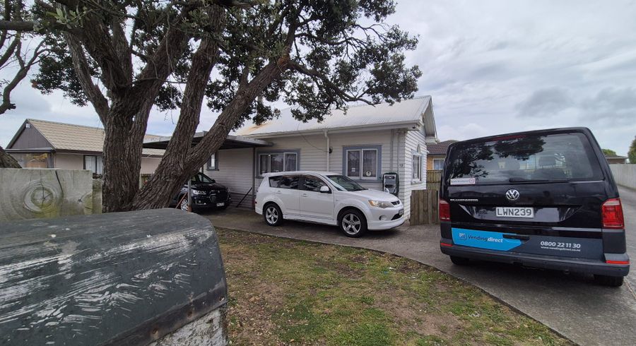  at 113 Wyllie Road, Papatoetoe, Manukau City, Auckland