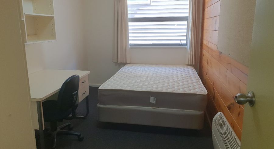  at 22 Room D/19-21 Drummond Street , Mount Cook, Wellington, Wellington