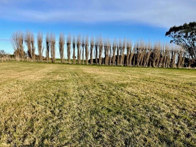  at 358 Lorne Dacre Road, Roslyn Bush, Invercargill