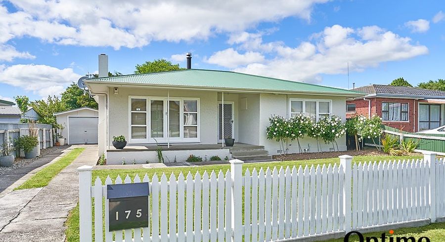  at 175 Highbury Avenue, Highbury, Palmerston North