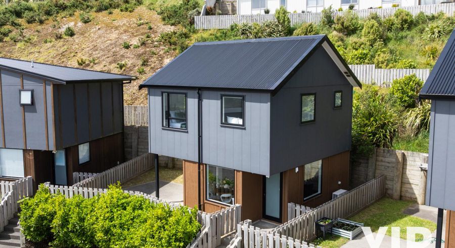  at 48 Astelia Way, Woodridge, Wellington, Wellington