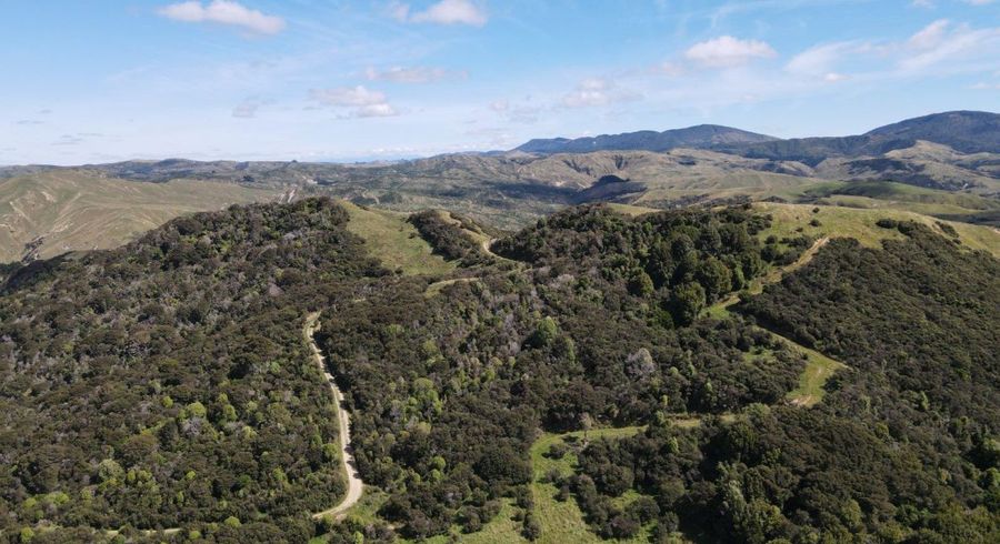  at 4080 Pahiatua Pongaroa Road, Pongaroa, Tararua, Manawatu / Whanganui