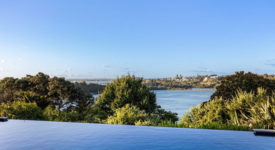  at 20 Martin Avenue, Remuera, Auckland City, Auckland