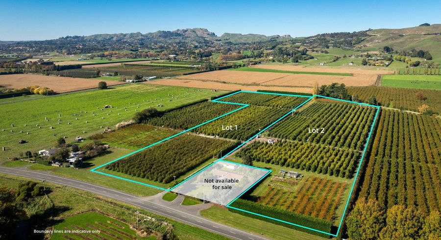  at 83 Mount Erin Road, Havelock North, Hastings, Hawke's Bay