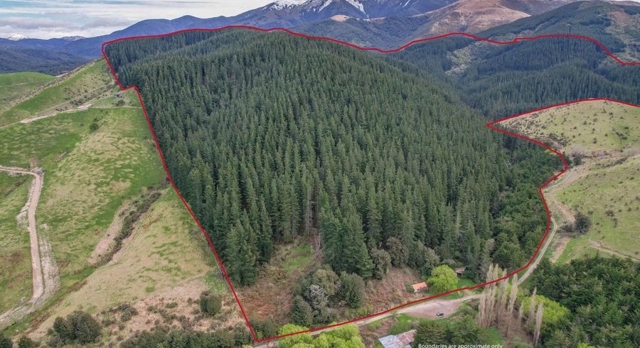  at 245 Sladdens Bush Road, Oxford, Waimakariri, Canterbury