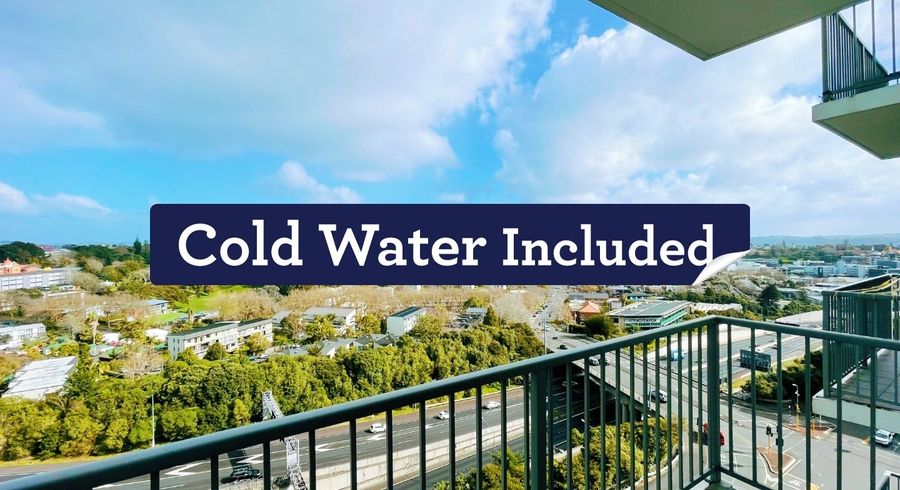  at 1002/11 Union Street, Auckland Central, Auckland