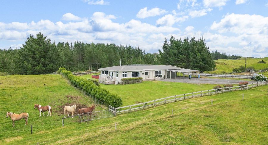  at 49B Olds Road, Ngongotaha Valley, Rotorua, Bay Of Plenty