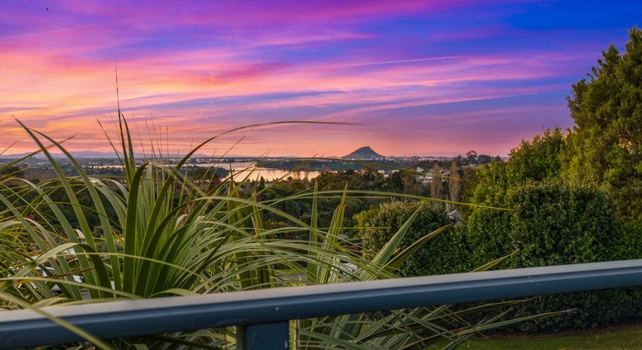  at 14 Estates Terrace, Welcome Bay, Tauranga, Bay Of Plenty