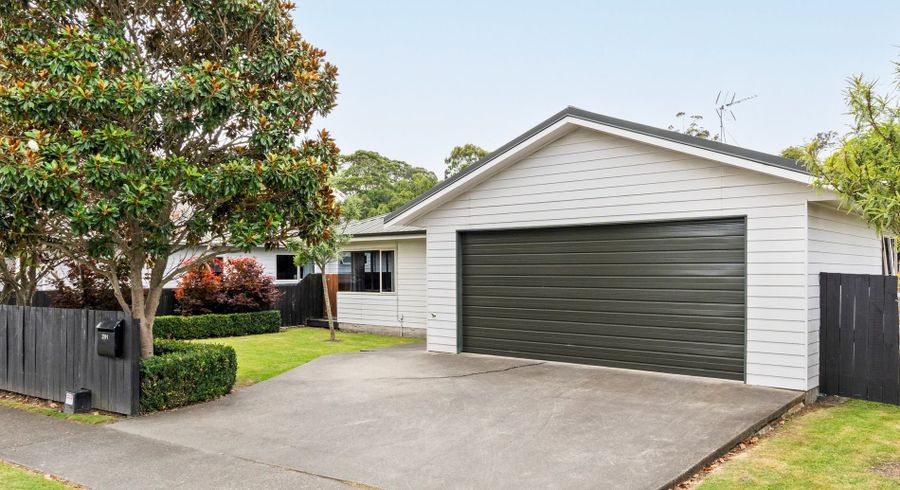  at 291 Ormond Road, Mangapapa, Gisborne, Gisborne