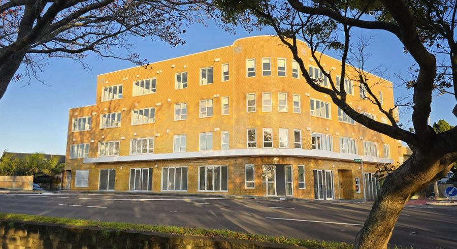  at 102/2b Oakley Ave, Waterview, Auckland City, Auckland