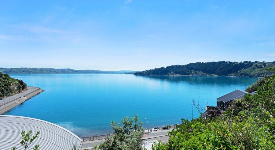 at 14A Kio Road, Hataitai, Wellington, Wellington