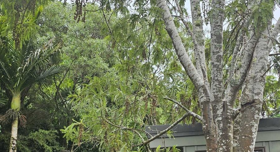  at 621 Waipatiki Road, Tangoio, Hastings, Hawke's Bay