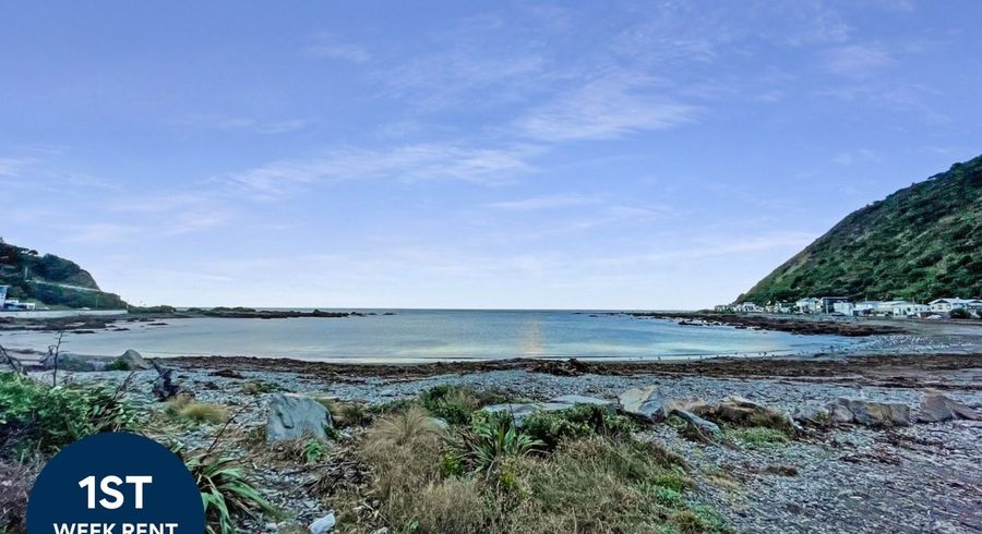  at 33 Happy Valley Road, Owhiro Bay, Wellington, Wellington