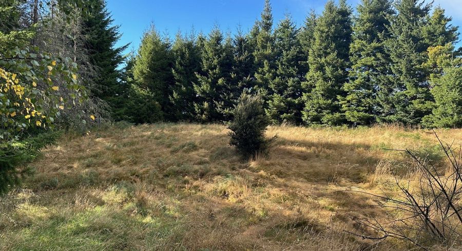  at 1 Mt Lyford Avenue, Waiau, Hurunui, Canterbury