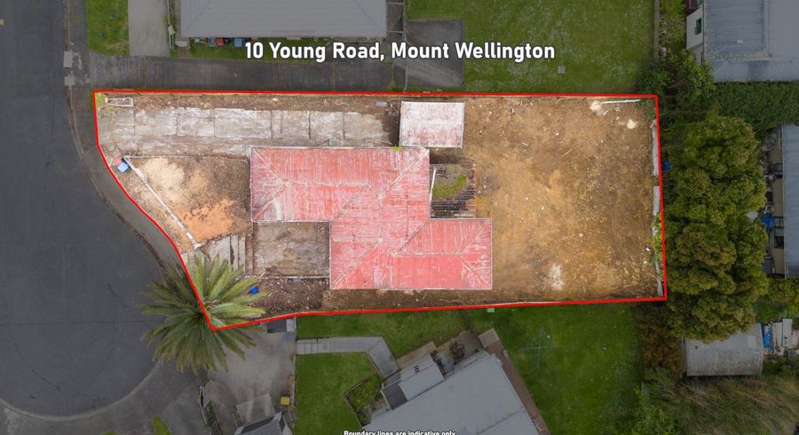  at 10 Young Road, Mount Wellington, Auckland City, Auckland