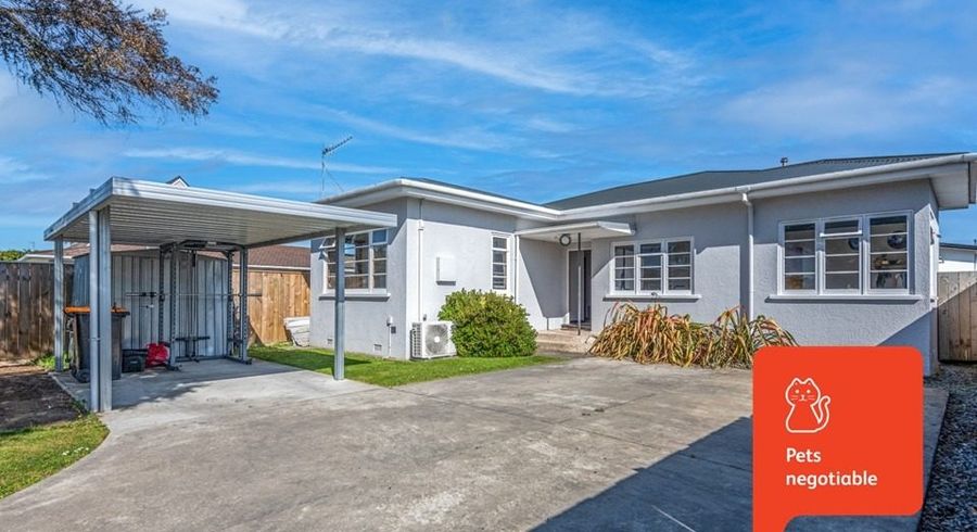  at 169 College Street, Awapuni, Palmerston North