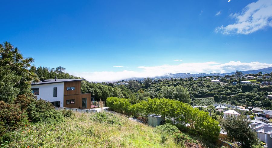  at 1 Lauriston Street, Andersons Bay, Dunedin