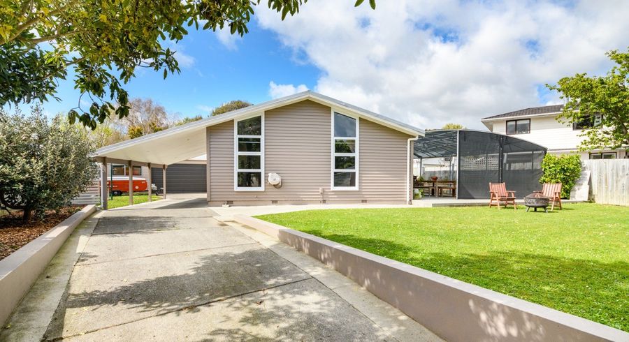  at 17 Patea Place, Terrace End, Palmerston North